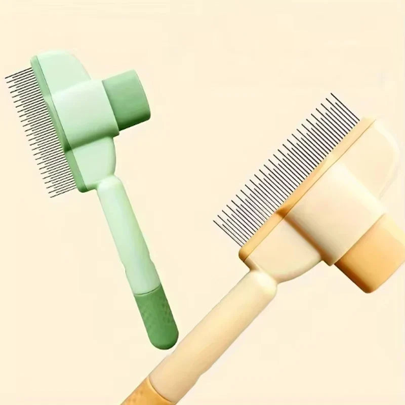 Beauty & Care