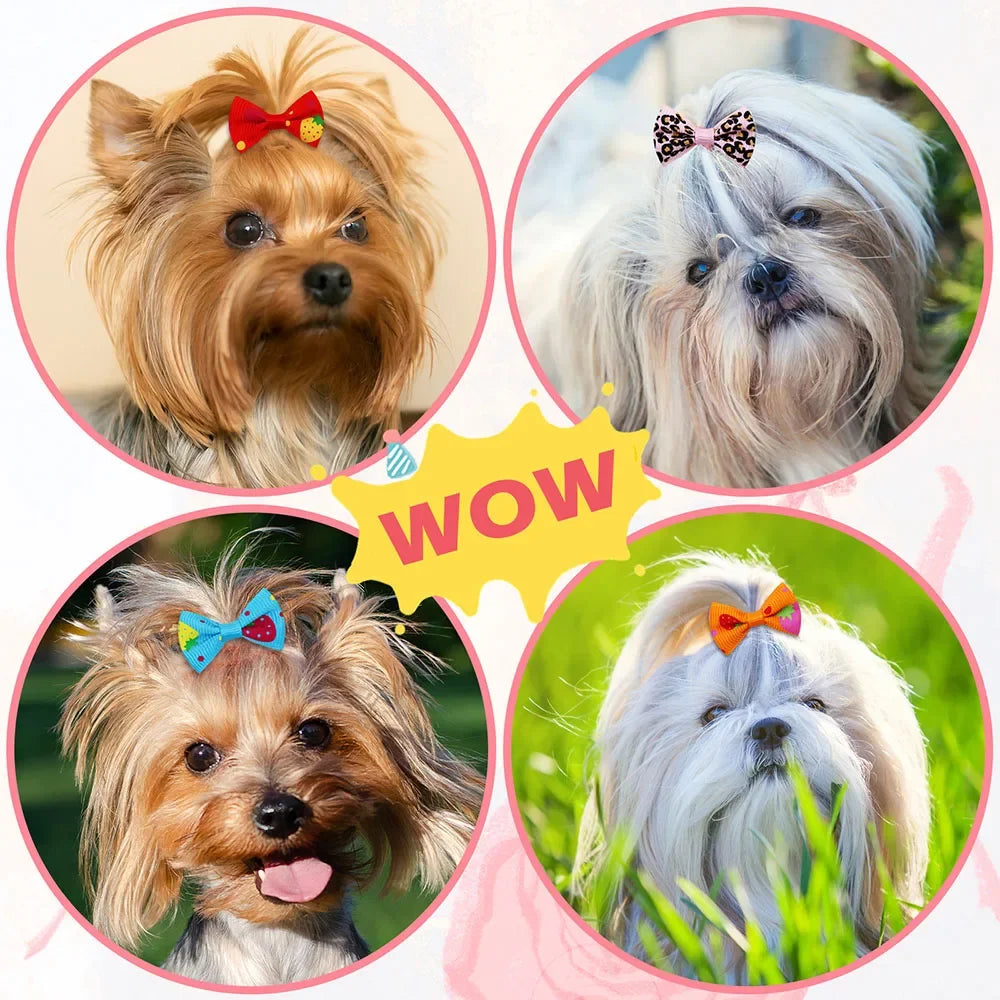Cute Pet Hair Bows – 10/30-Piece Set with Elastic Bands for Dogs & Cats