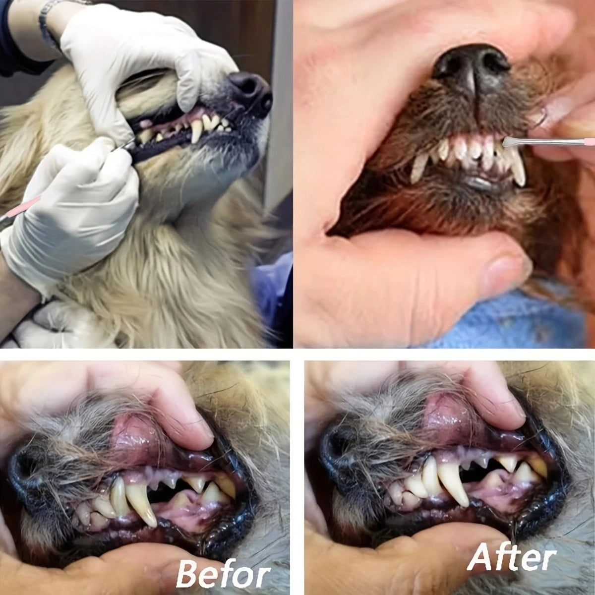 2-in-1 Dog & Cat Tartar Remover – Stainless Steel Dental Scraper