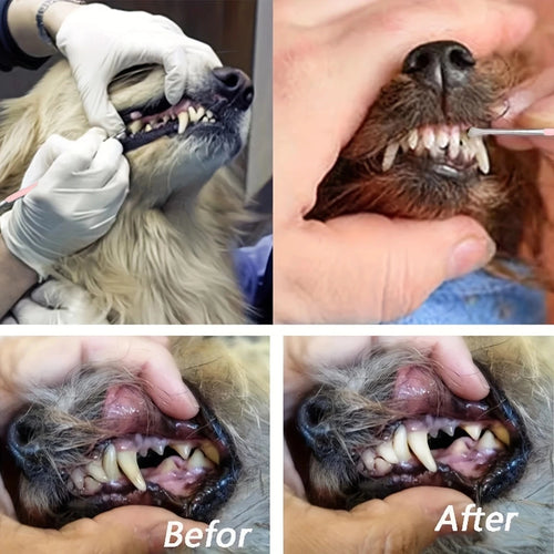 2-in-1 Dog & Cat Tartar Remover – Stainless Steel Dental Scraper